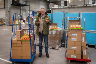 Kartons voller Schokohasen mit dem Spender